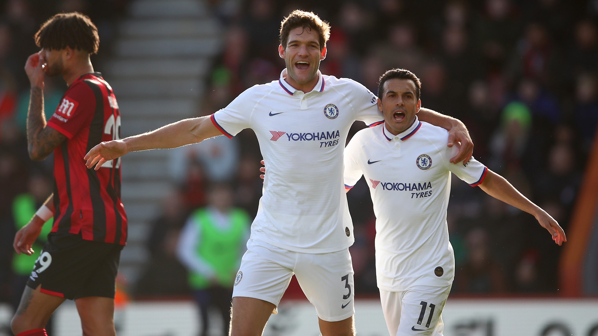 相信他们将 相信他们将