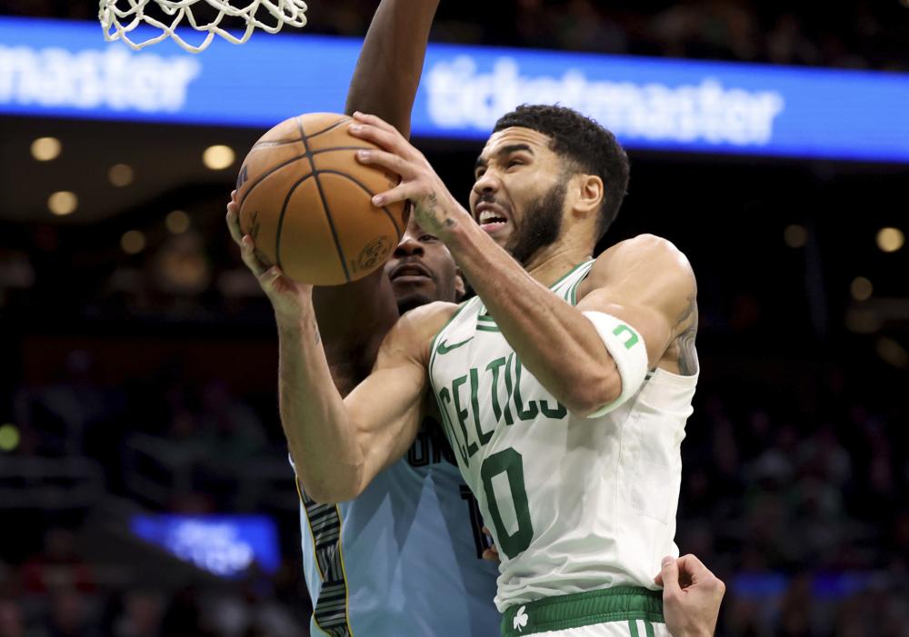 花为何能在 花为何能在