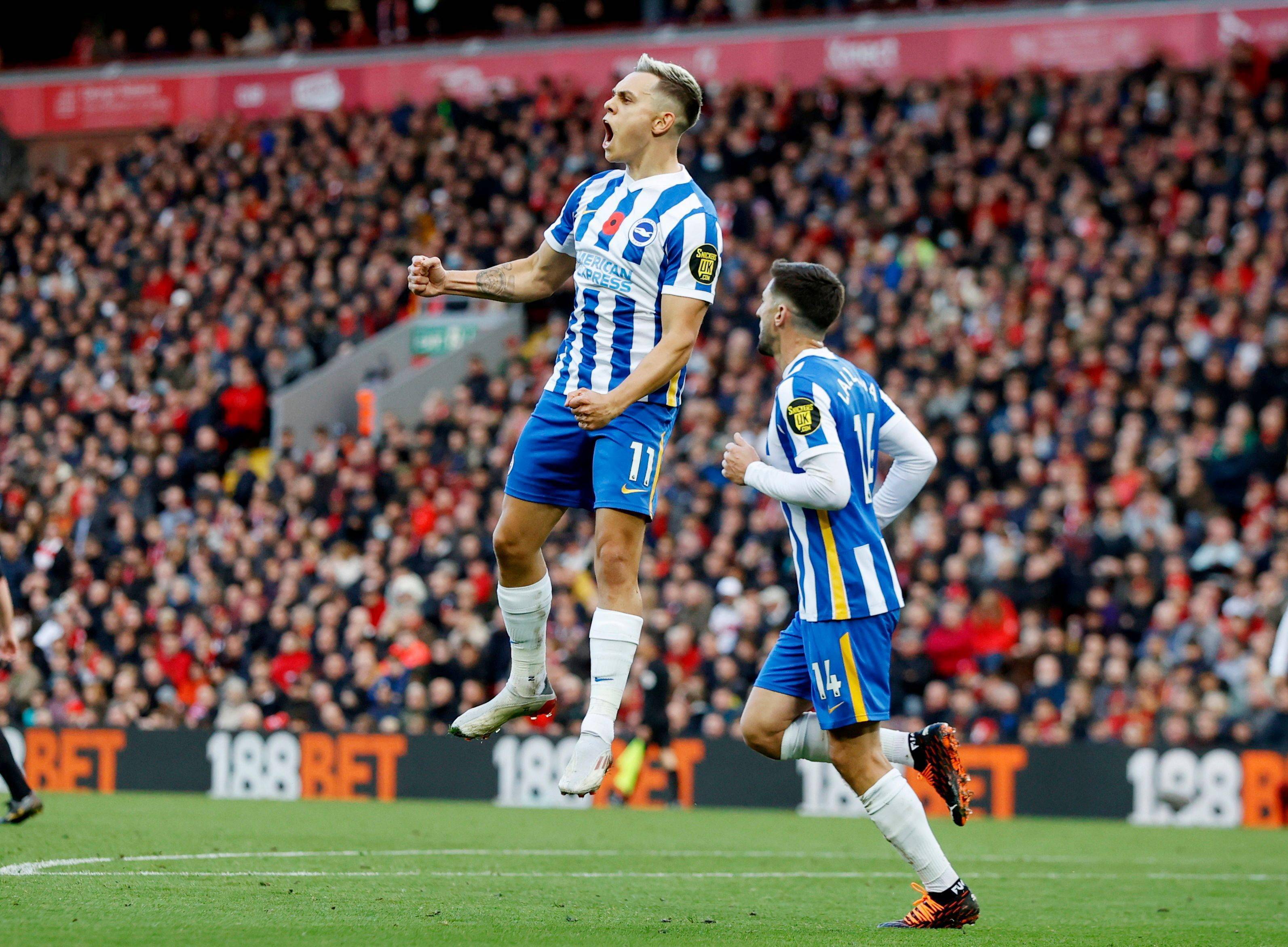 这些都会显 这些都会显